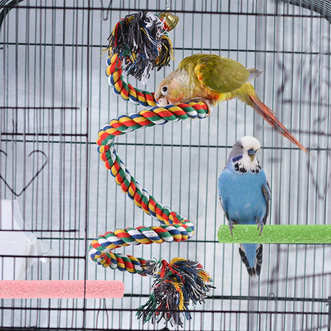 The 5 Best Perches for Your Pet Bird