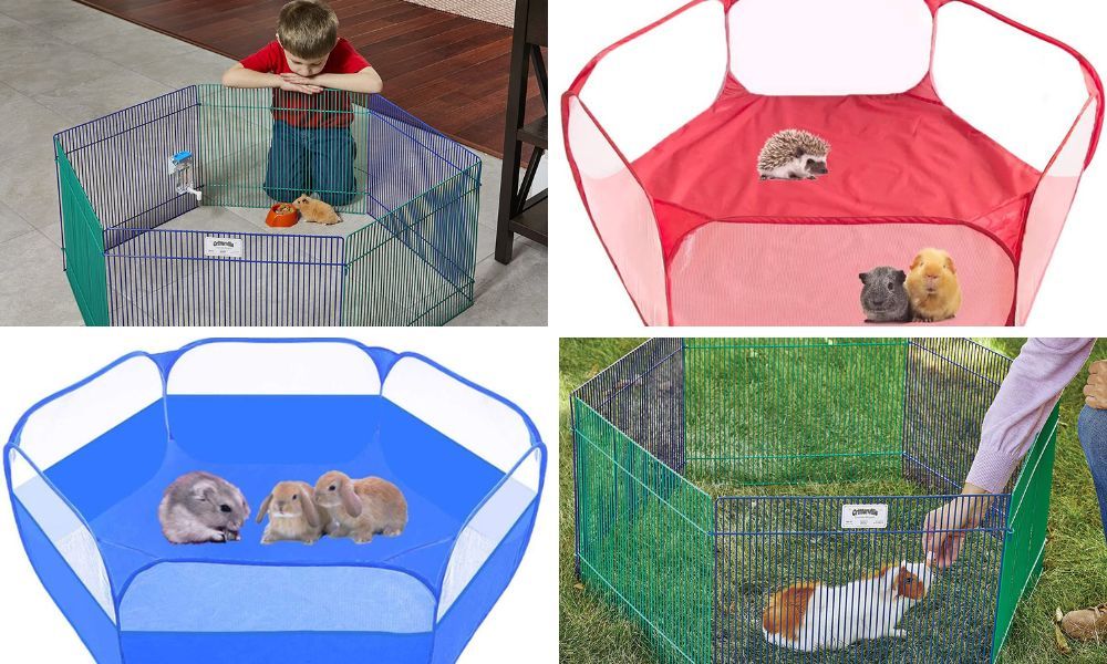 Playpen for guinea pigs The 4 Best Playpens you can buy today!