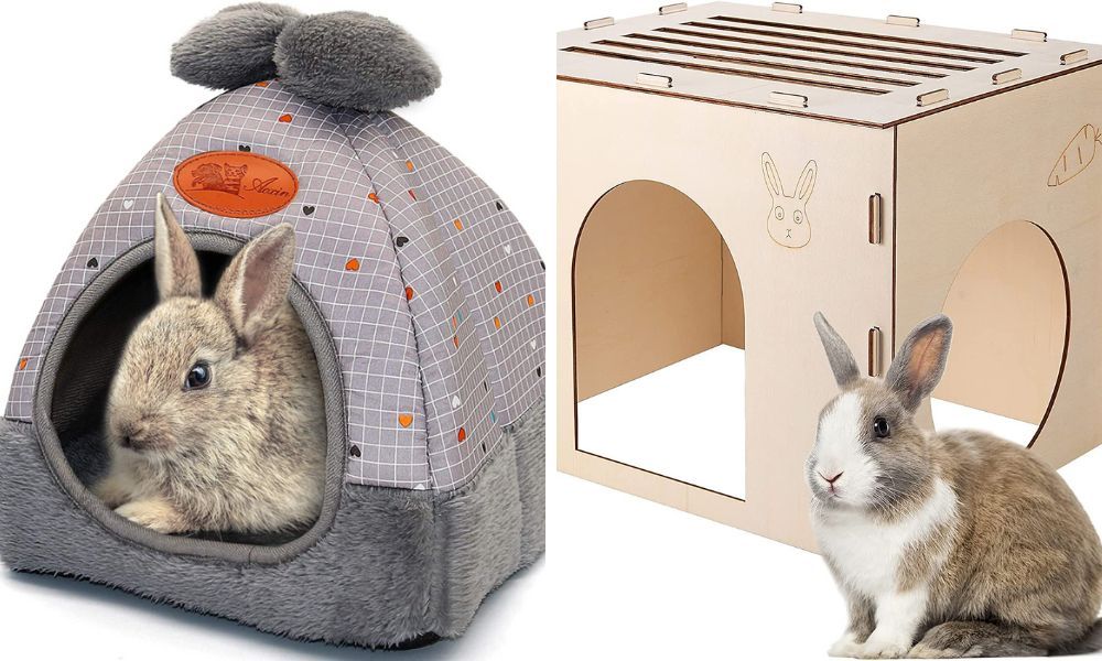 Rabbit Hideout Top 3 to Choose From to Create Safe Sanctuaries