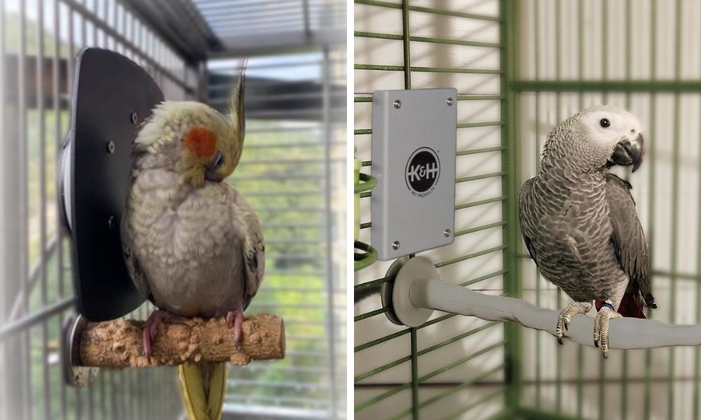 Bird Cage Heater