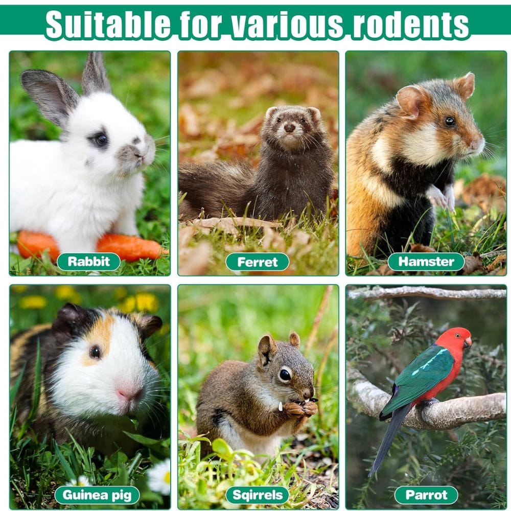 Water Bottles are Sutiable for Various Rodents