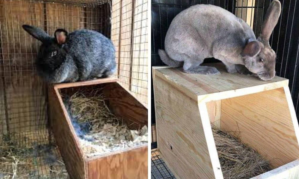 Rabbit Nesting Box From Wood
