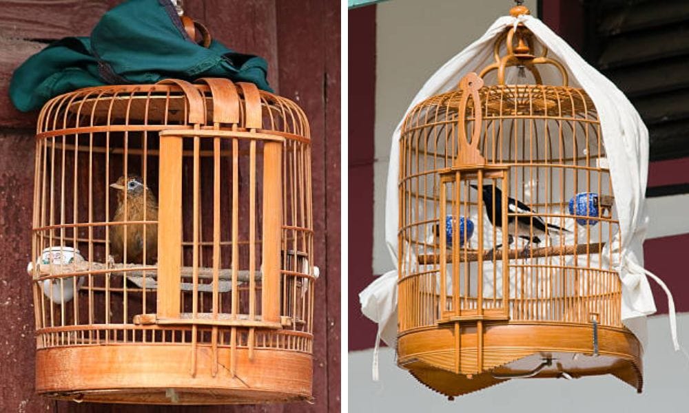 bird cage covers