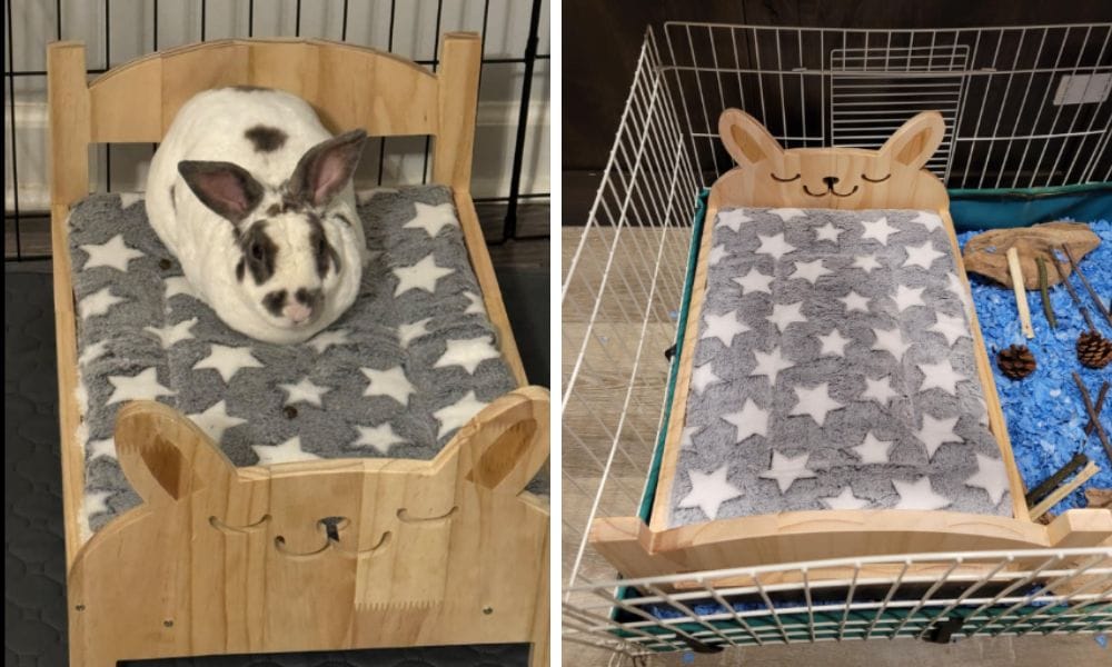 Rabbit Bed with Cushion