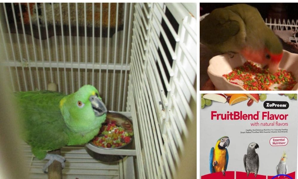 Adjust amounts to ensure your bird's optimum body condition
