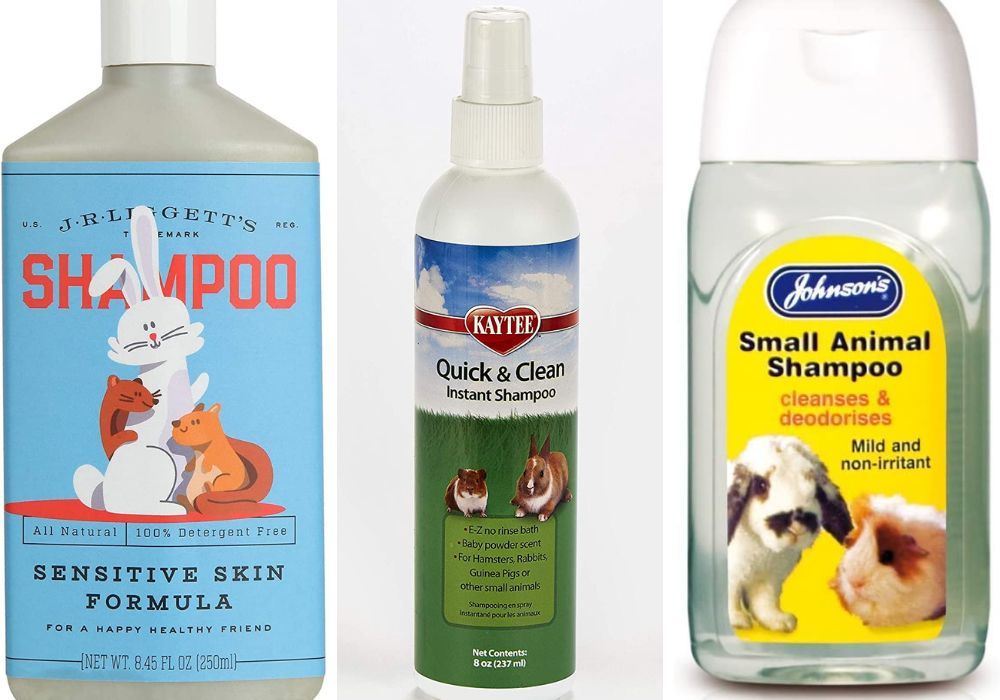 Looking for the Best Shampoo for Your Guinea Pig? Check Out These 5 Great Options!