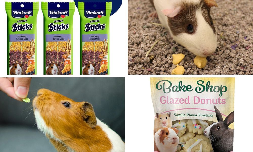 Top 5 Treats for Your Guinea Pig