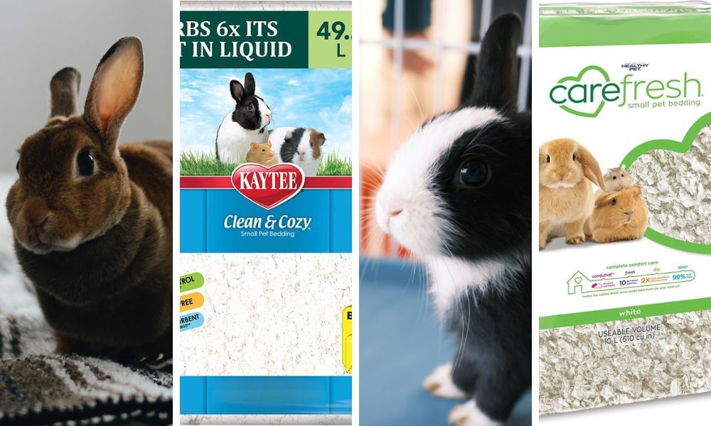 The Essential Guide to Choosing the Best Bedding for Rabbits