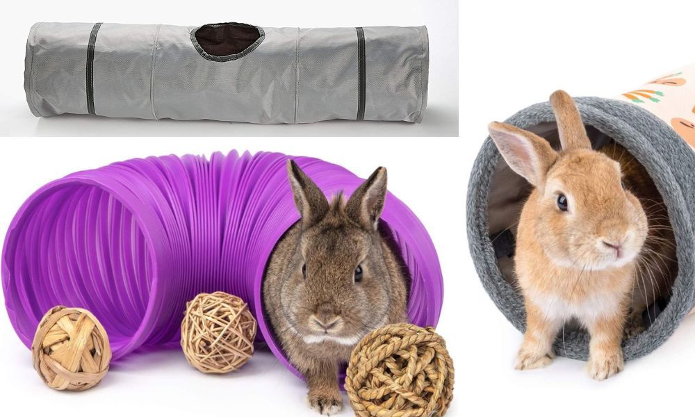 Rabbit Tunnel These Are Top 5 Options For Your Furry Friend