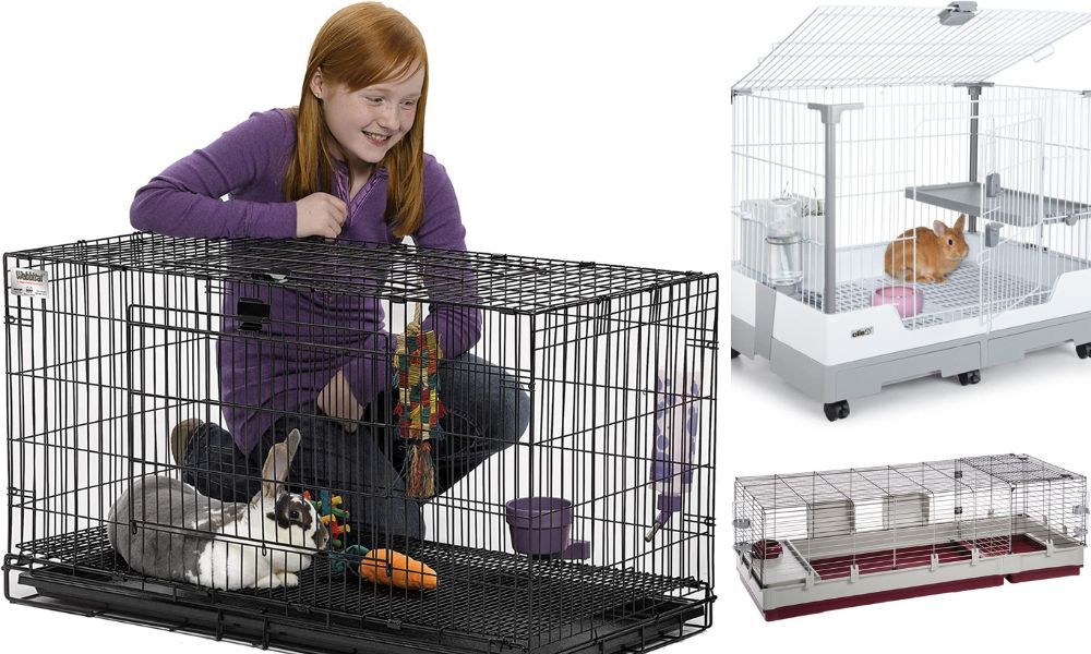 The Top Rated Wire Rabbit Cages Which One Is Right for Your Bunny?