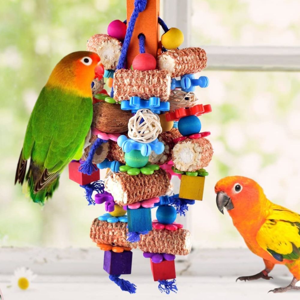 Foraging Toys for Birds to Keep Their Minds Active and Busy