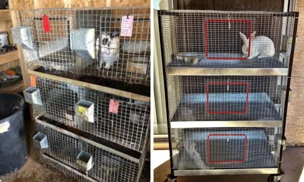 Maximizing Space How Stackable Rabbit Cages Can Improve Your Pet's