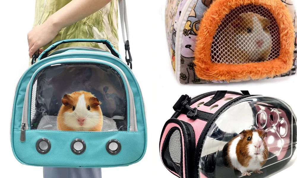 Travel Cages for Guinea Pigs A Comprehensive Guide for New Owners