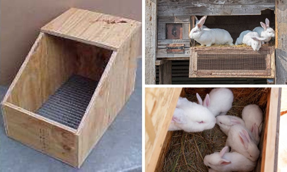 DIY Rabbit Nesting Box StepbyStep Instructions for Beginners
