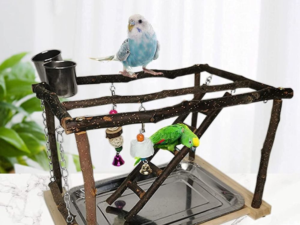 Bird Play Stand