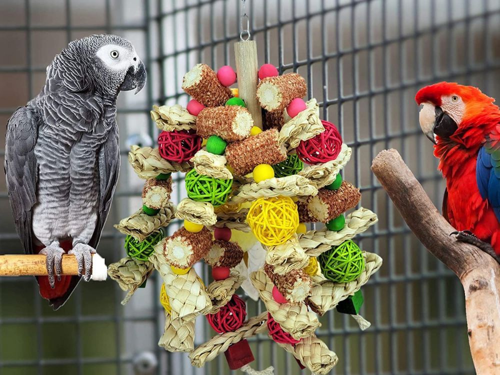 Fun Foraging Toys for Your Feathered Friend!