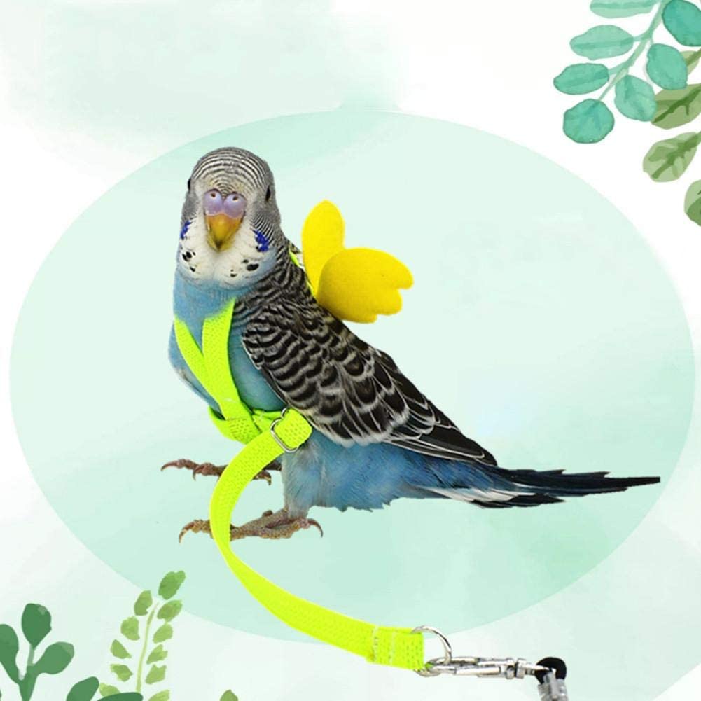 Parakeet Leash