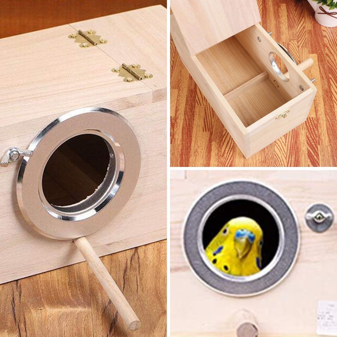 Parakeet Nesting Box