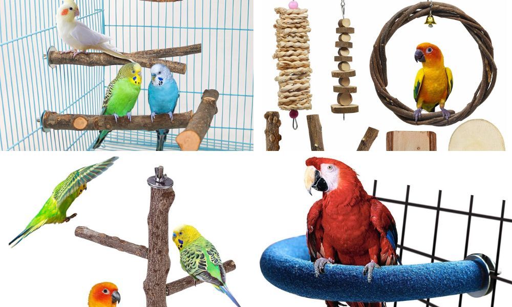 Various Types of Perches for Pet Birds