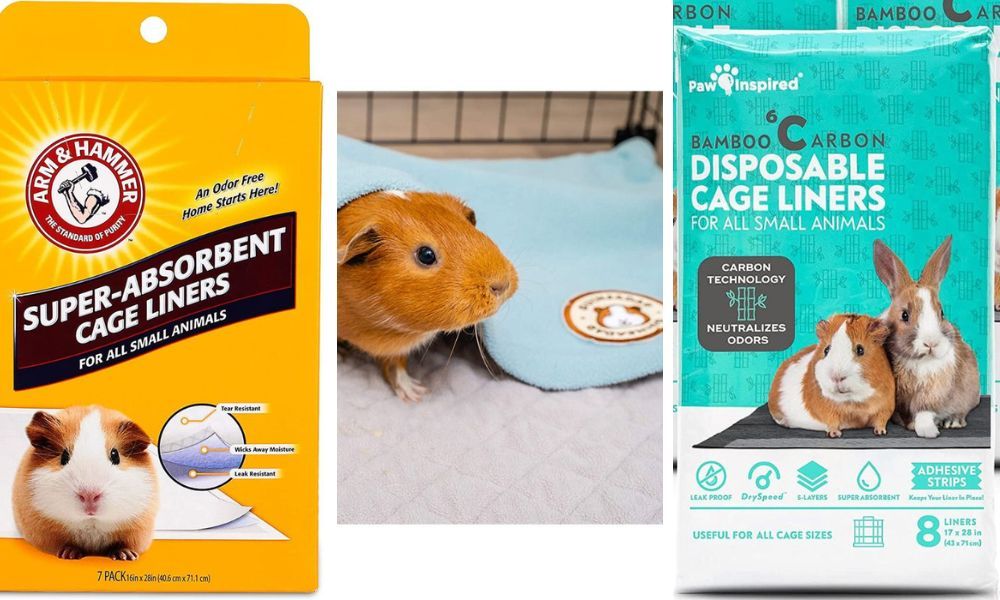 Cage Liners for Guinea Pigs