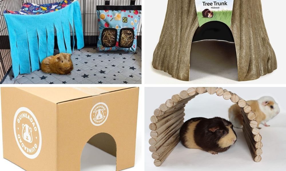 Various Hideouts for Guinea Pigs