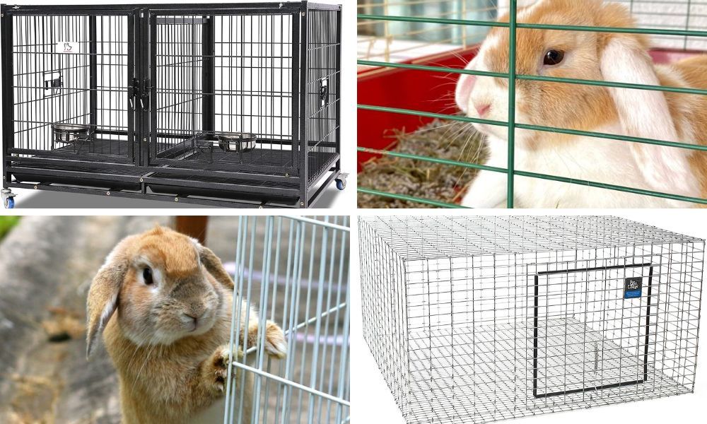 Breeding Rabbit Cages