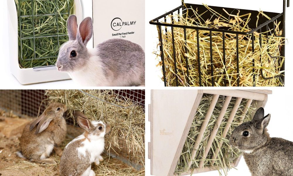 Different Types of Hay Feeder for Rabbits
