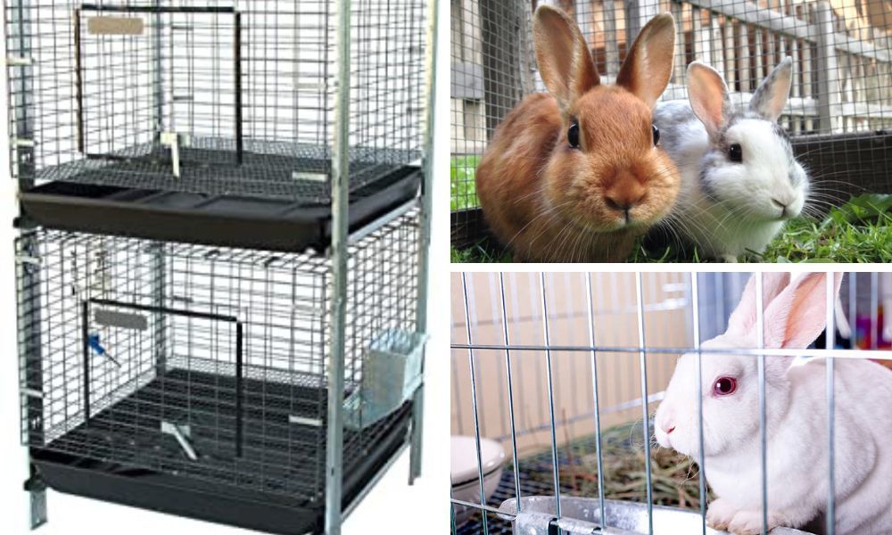 Stackable Rabbit Cages