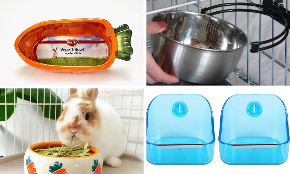 Rabbit Food Bowl