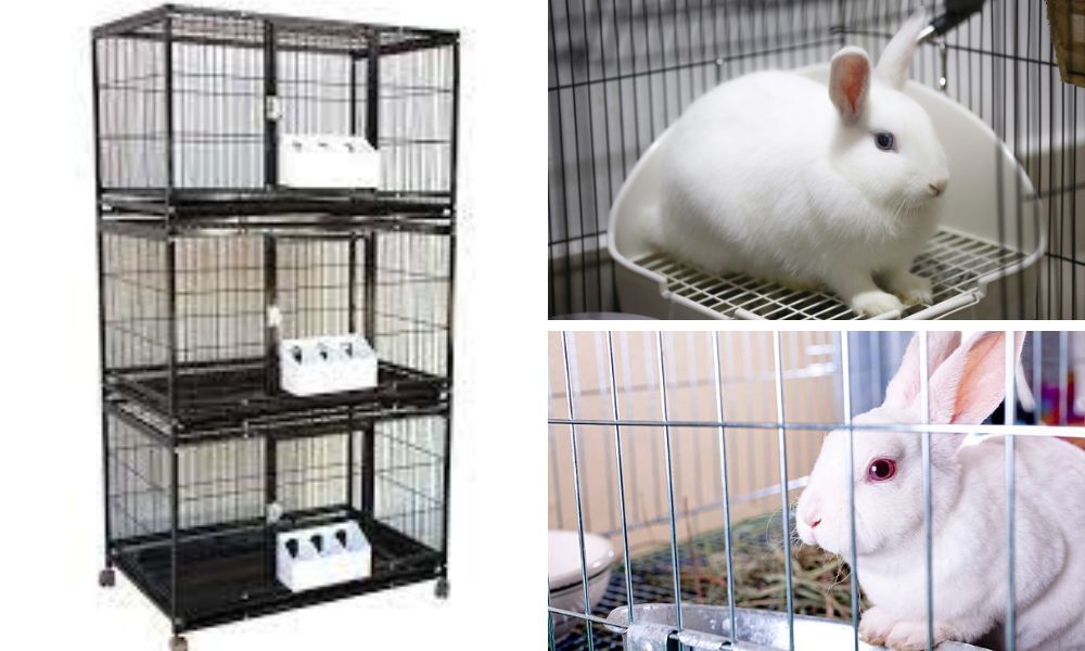 Stackable Rabbit Cages