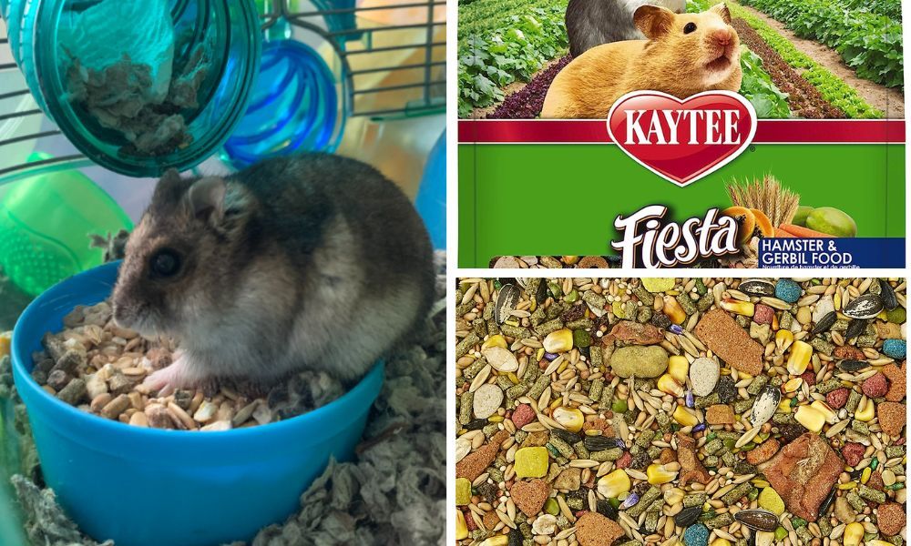 Kaytee Fiesta Hamster Food