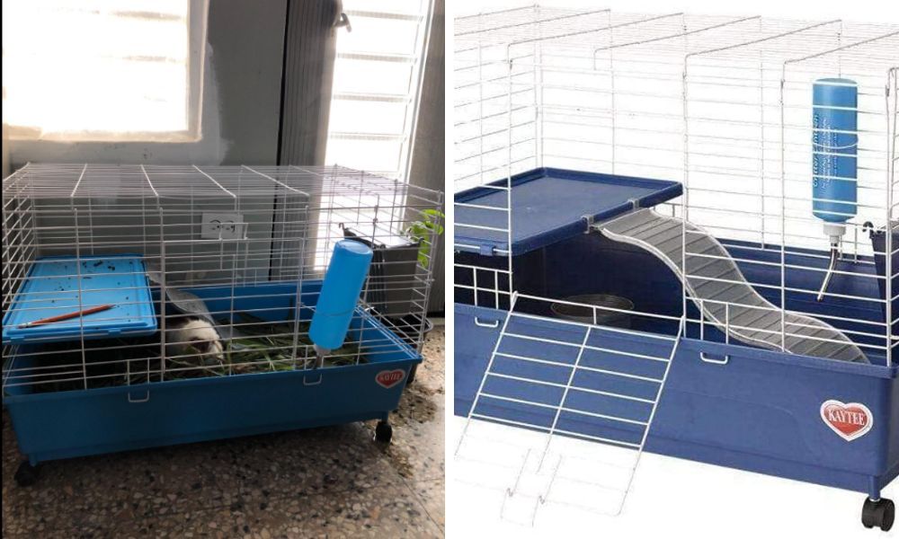 Kaytee Cages for Guinea Pigs