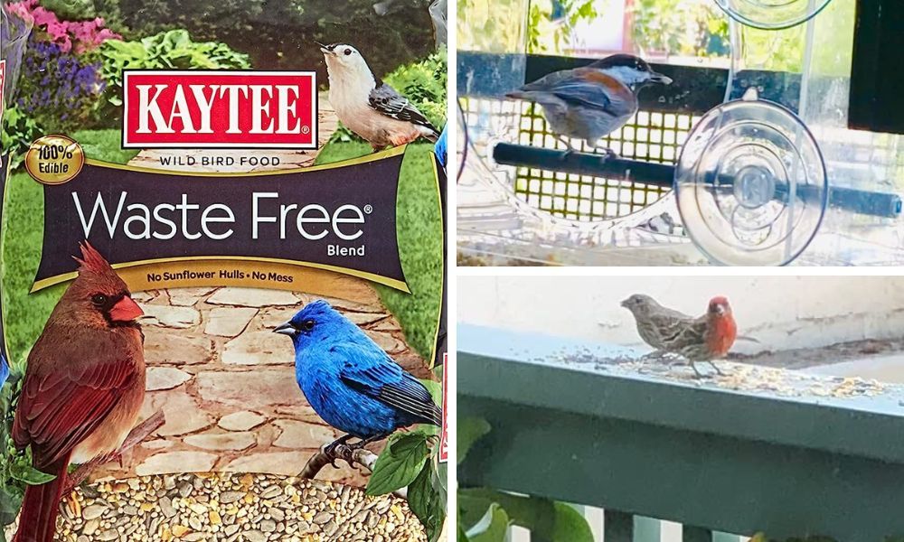 Kaytee waste free bird seed