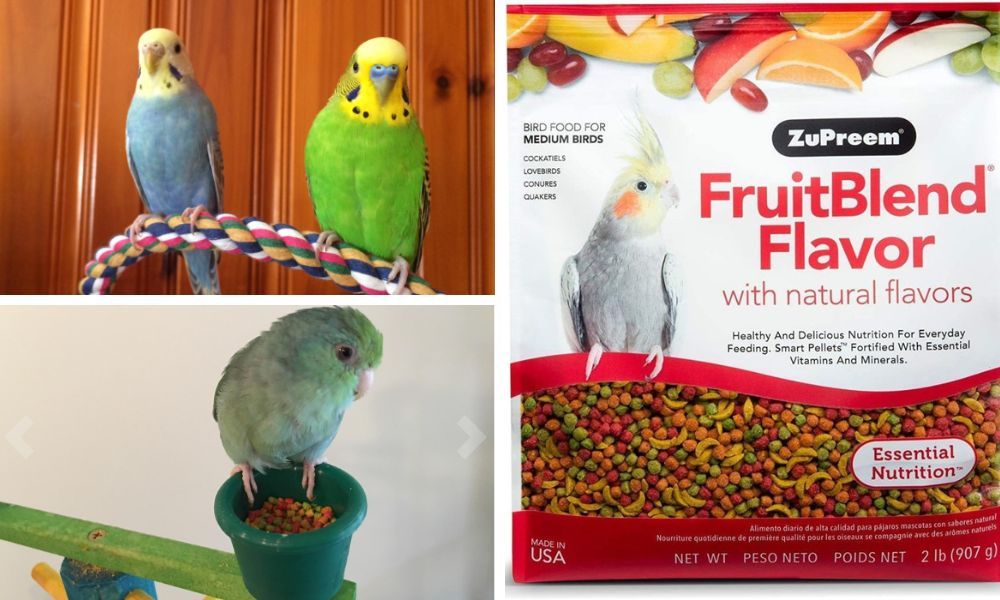 ZuPreem Fruit Blend