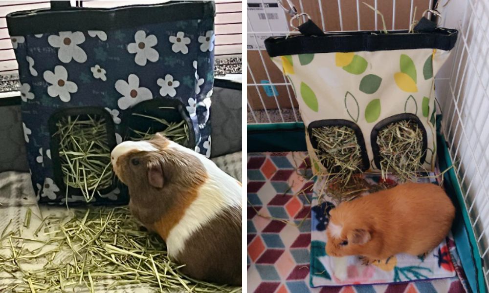 Hay Bags for Guinea Pigs