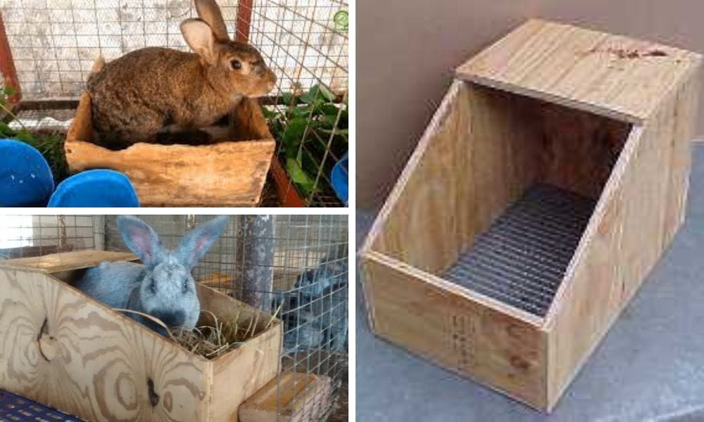 Rabbit Breeding Nest Box