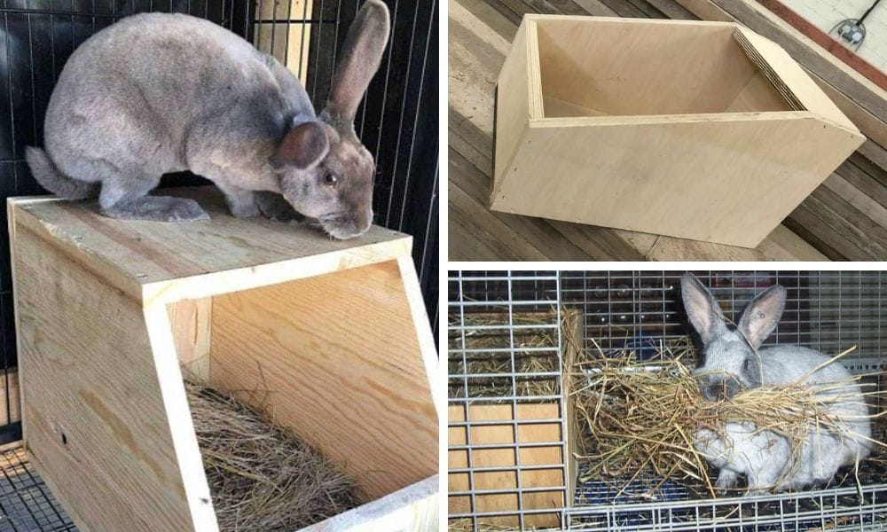 Rabbit Nesting Box Dimensions
