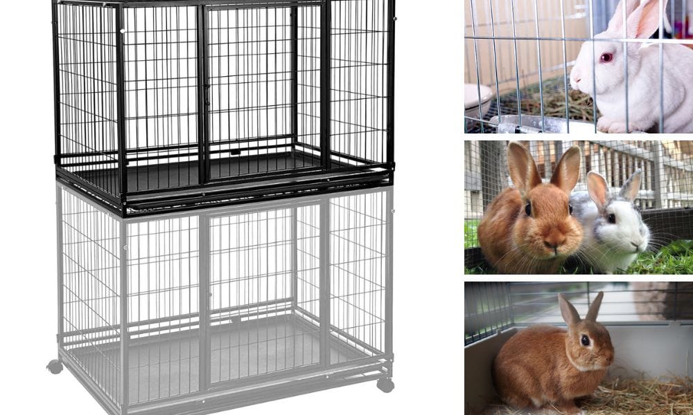 Stackable Rabbiit Cage