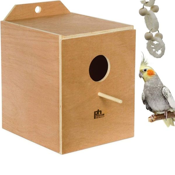 Best 3 Nesting Boxes for Cockatiels