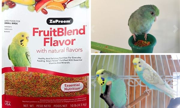 ZuPreem Fruit Blend