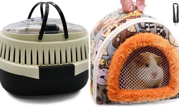 Travel Cages for Guinea Pigs