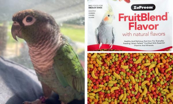 ZuPreem Fruit Blend