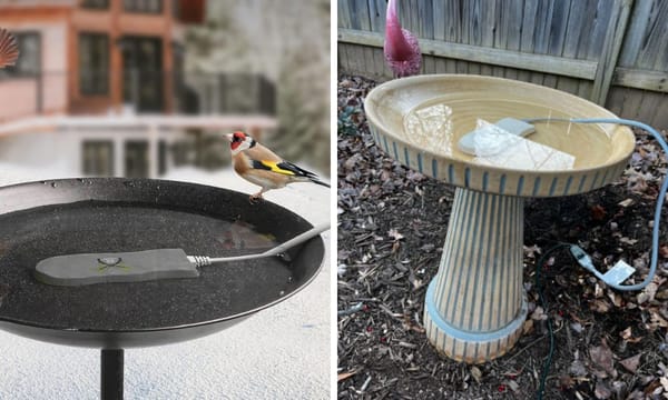 Bird Bath Heater