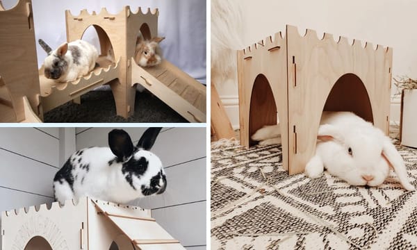 Rabbit Castle